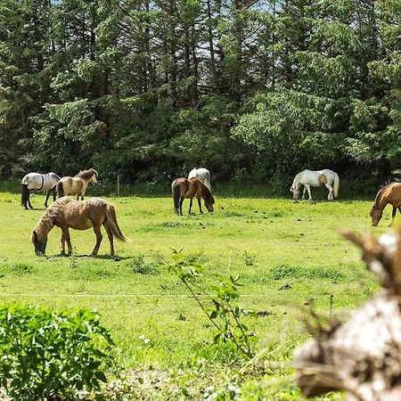 Lk2016-lokken-hjortevej-13 * Løkken